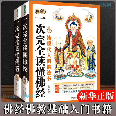 【2册】图解一次读懂佛经+图解一次读懂  基础知识 禅宗论集集金刚经心经禅宗药师经楞严经学图书籍