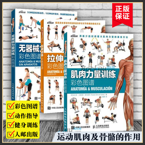 【任选】拉伸训练彩色图谱+肌肉力量训练彩色图谱+无器械力量训练彩色图谱 运动健身健美训练书健身书籍 人民邮电出版社