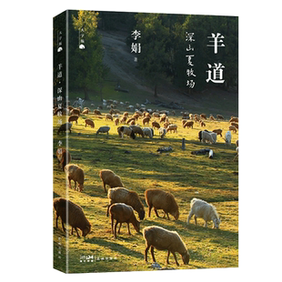 大字版】羊道深山夏牧场 李娟代表作品 我的阿勒泰遥远的向日葵地冬牧场作者原生态记录阿勒泰地区现当代文学散文随笔畅销书排行榜