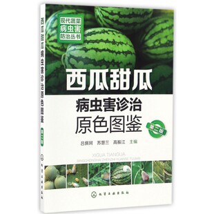 现代蔬菜病虫害防治丛书 西瓜甜瓜病虫害诊治原色图鉴 第二版  大棚西瓜甜瓜种植技术书籍 大棚种西瓜甜瓜栽培关键技术书籍