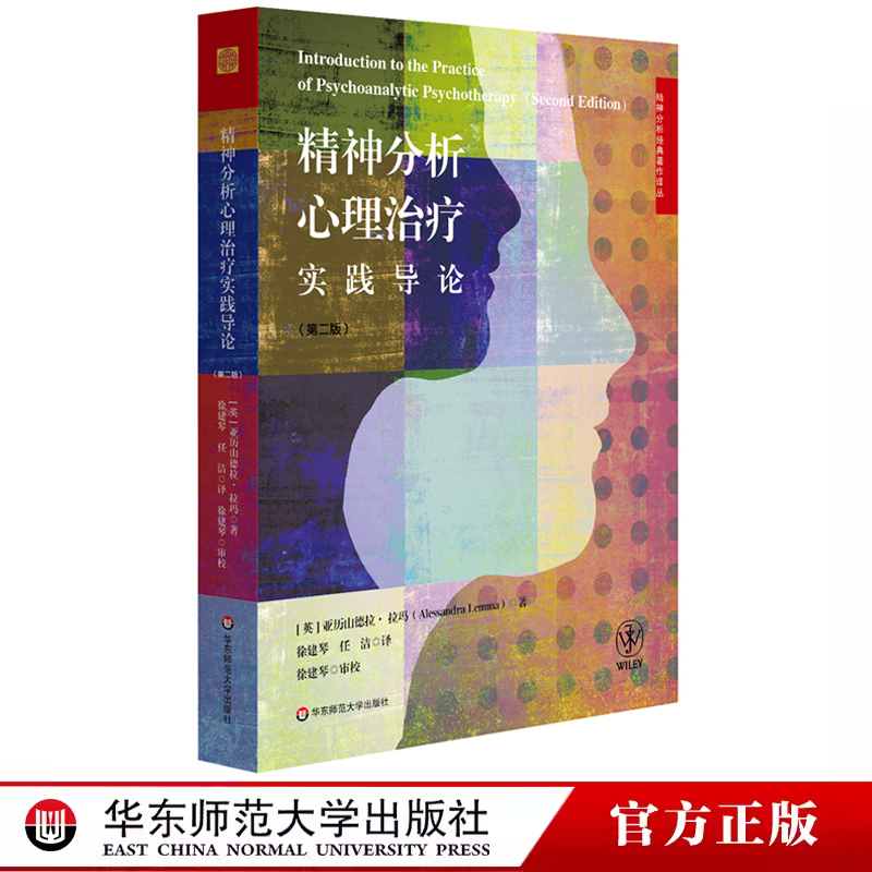 精神分析心理治疗实践导论 第二版 精神分析经典著作译丛 心理治疗技术 新手治疗师 正版 华东师范大学出版社