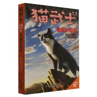 奇幻故事书10岁以上小学生三四五六年级课外书必读老师推荐 猫武士外传 解释补充不为人知 复仇 博库网 长篇小说6高星