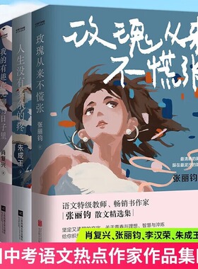 全国中考语文热点作家作品集全套4册 我的有趣在无聊的日子里+在更热烈的风里相遇+玫瑰从来不慌张+人生没有多余的疼肖复兴张丽钧