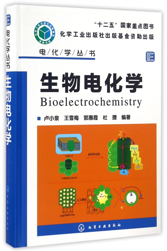 生物电化学 卢小泉 王雪梅 郭惠霞 杜捷 化学 电化学 电化学分析仪器 电化学传感器 自组装膜 应用化学 教学用书