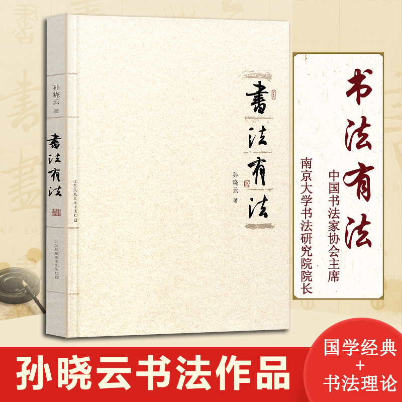 书法有法 孙晓云著 中国书协 孙晓云书法理论作品 中国传世书法技法 书法名家名品经典书法文化大观分析与训练典籍