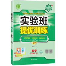 实验班提优训练 八年级数学(下) 华师大版 2024年春新版 博库网