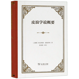 皮浪学说概要(精) 博库网