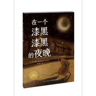 在一个漆黑漆黑的夜晚/海豚绘本花园 博库网