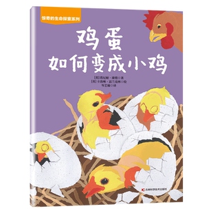 鸡蛋如何变成小鸡 惊奇的生命探索系列 儿童科普绘本生命孕育成长变化主题绘本三四五六岁百科手绘生命教育童书 新华书店正版书籍