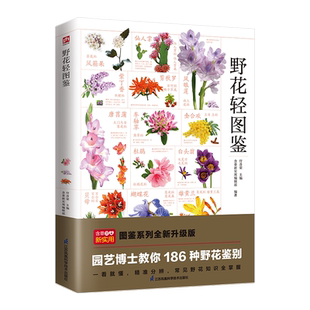 野花轻图鉴 186种野花百科知识高清彩色图片鉴别欣赏 常见野生花卉科普读物 植物特征生长习性分布地区栽培 中小学生课外书籍 园艺