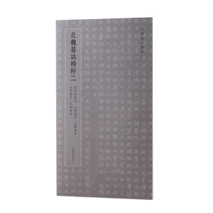 北朝墓志精粹·北魏墓誌精粹二 博库网