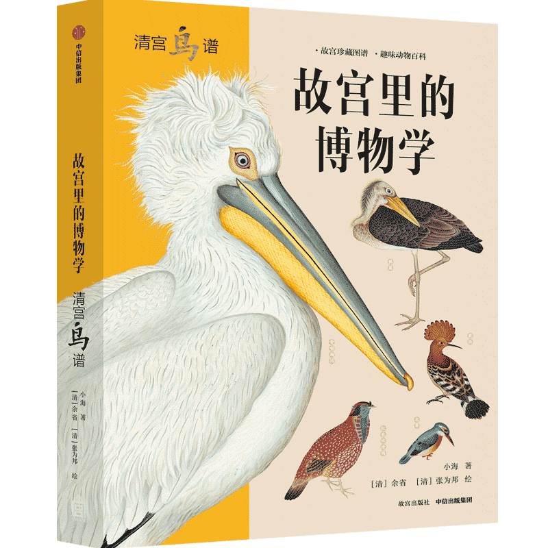故宫里的博物学 清宫鸟谱清5-8-1015岁小海著科普百科中小学生一二三四五六年级历史语文科学知识大全 中国版的神奇动物在哪里