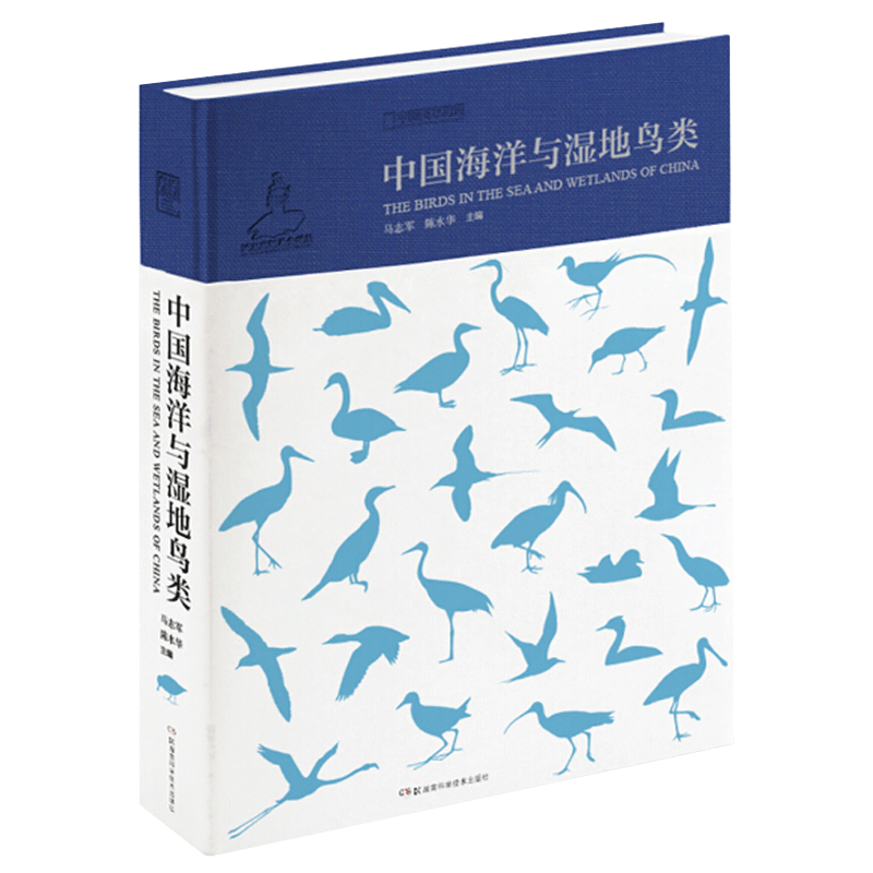 中国海洋与湿地鸟类精装