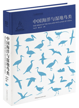 中国海洋与湿地鸟类精装