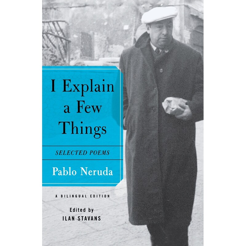 I Explain a Few Things 博库网