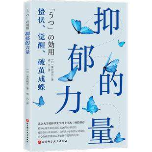 抑郁的力量 20年经验心理精神专科医生的心理疗愈 心理自助指南 抑郁症治疗 抑郁症治疗方法 心理障碍 心理健康书籍