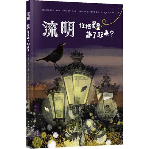 2025年度爱阅童书 流明 谁把星星藏了起来 [意]瓦伦蒂纳·戈塔迪 光污染的原因危害影响普及科普知识书儿童科普百科图书正版原著
