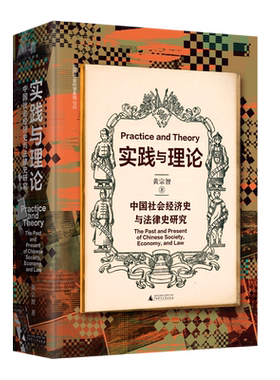 实践社会科学系列  实践与理论：中国社会经济史与法律史研究 黄宗智 著 广西师范大学出版社 正版书籍 博库网