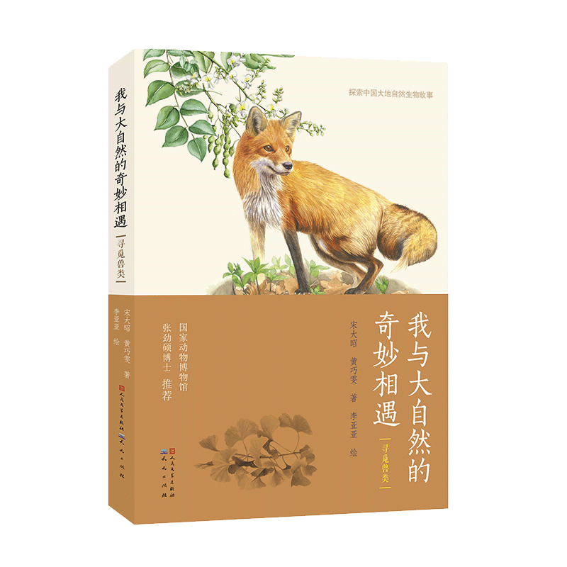 我與大自然的奇妙相遇(尋覓獸類)/探索中國大地自然生物故事 宋大昭 黃巧雯著 生命動物科普書籍百科全書三四五六年級課外書正版