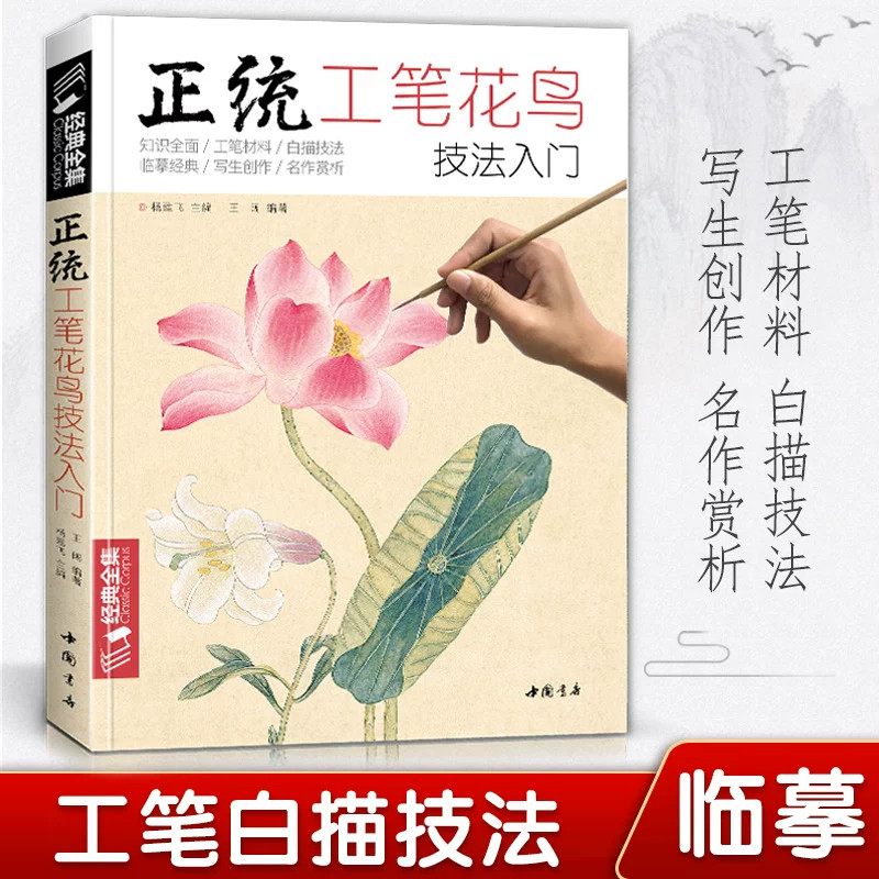 经典全集 正统工笔花鸟技法入门基础教程书籍中国工笔画稿白描勾线牡丹上色涂色宋画临摹册初自学者名家手绘教材 杨建飞主编畅销书