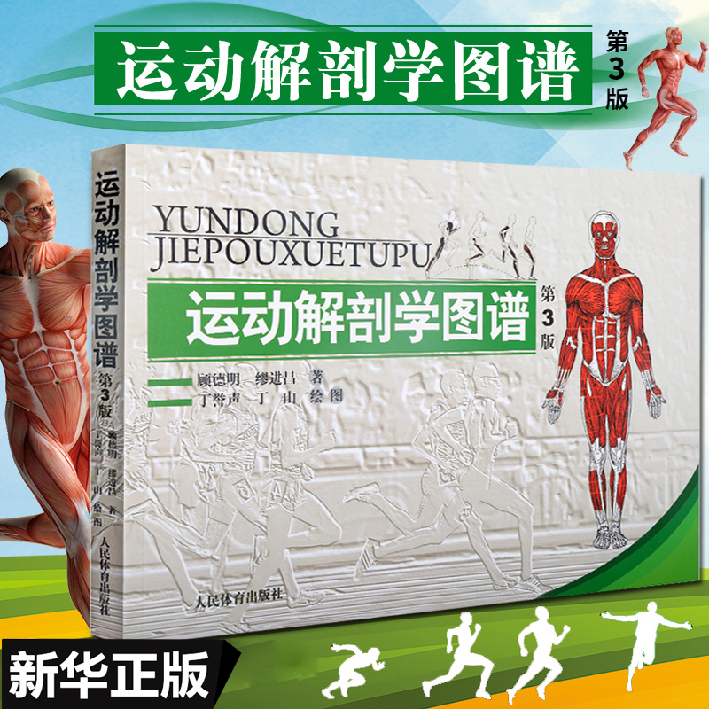 正版包邮 运动解剖学图谱修订第3版 肌肉塑造教程全书 人民体育健身书籍 健美训练图解 顾德明 医学实用性人体图谱 运动生理学