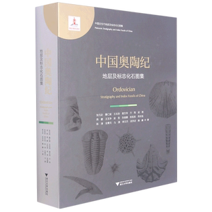 【全新正版】中国奥陶纪地层及标志化石图集(精) 新华书店畅销图书籍