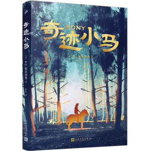 帕拉西奥作品:奇迹小马+奇迹男孩+奥吉和我 全3册 小学生三四五六年级课外阅读书籍 浙江暑期暑假阅读书目儿童青少年成长小说