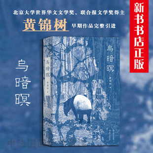 调度不同 时间刻度 重新把灰烬还原为火 早期代表作品全收录 乌暗暝 世界华文文学奖获奖作品雨作者 马华文学重量级作家黄锦树