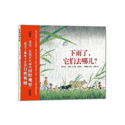下雨了它们去哪儿精儿童绘本3-6-7-8周岁幼儿园早教书籍启蒙一二三年级小学生课外阅读书籍睡前故事