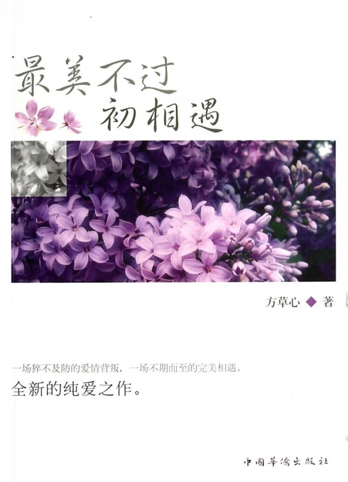 最美不过初相遇 小说 博库网