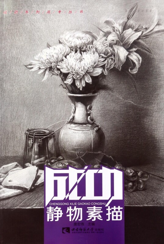 静物素描/成功系列高考丛书 博库网
