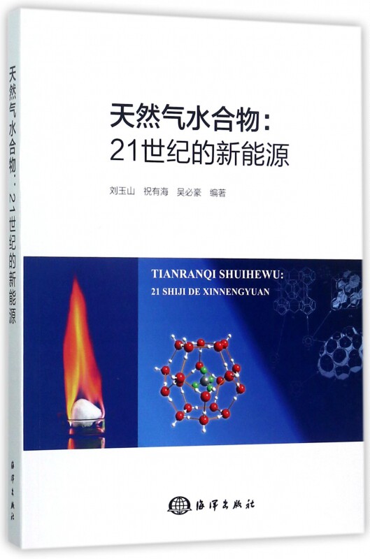 天然气水合物--21世纪的新能源 博库网