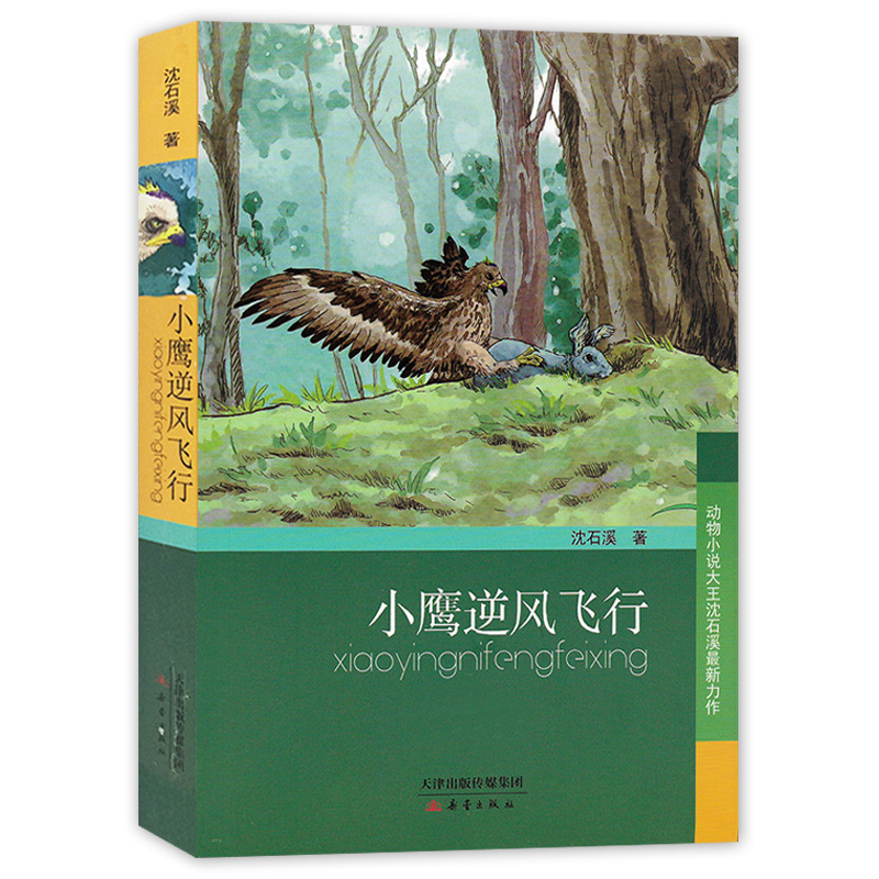 正版 动物小说大王沈石溪新作 小鹰逆风飞行 沈石溪中小学生课外书6-12周岁三四五六年级7-9-10-12-14岁儿童读物 正版畅销书籍