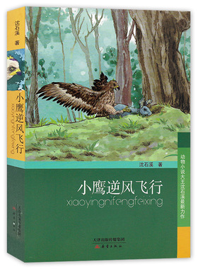 正版 动物小说大王沈石溪新作 小鹰逆风飞行 沈石溪中小学生课外书6-12周岁三四五六年级7-9-10-12-14岁儿童读物 正版畅销书籍