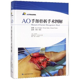 AO手部骨折手术图解 博库网