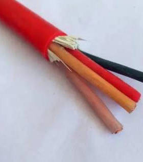 RE-2X(St)H 1x2x1 mm2 500V 电缆