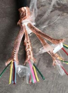 DJFFP DJFPFP耐高温计算机电缆-氟塑料绝缘和护套屏蔽计算机电缆