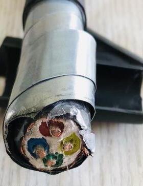 WDZN-YJGFP22  3KV  耐火低烟无卤电缆