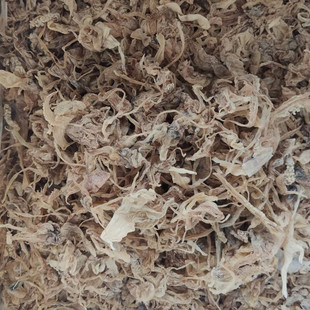 正宗北海淡干鱿鱼头鱿鱼须鱿鱼嘴小鱿鱼须海鲜干货特产鱿鱼干500g