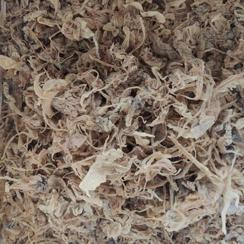 北海淡干无盐鱿鱼头须