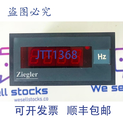 原装供应ZIEGLER DPM 48/96 AK 数字面板表