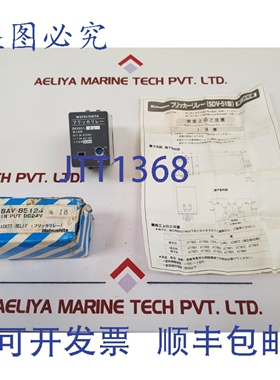 原装供应进口工业电机 BAV851-24 闪烁继电器 AC11 3A AC220V