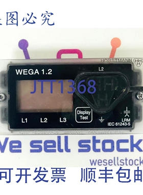 原装供应HORSTMANN WEGA1.2 V51-1200-001-001 电压检测系统 E601