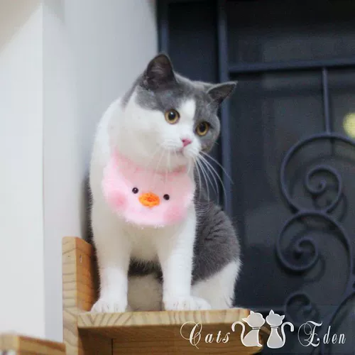 Нагрудник ручной работы, слюнявчик, ювелирное украшение, популярно в интернете