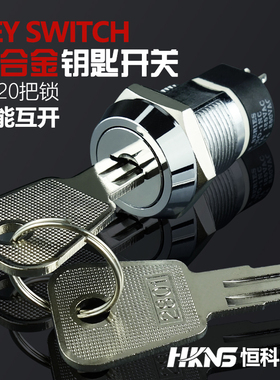 电源锁开关 开孔19mm20mm 2位 2常开 不能互开 机械安全钥匙开关