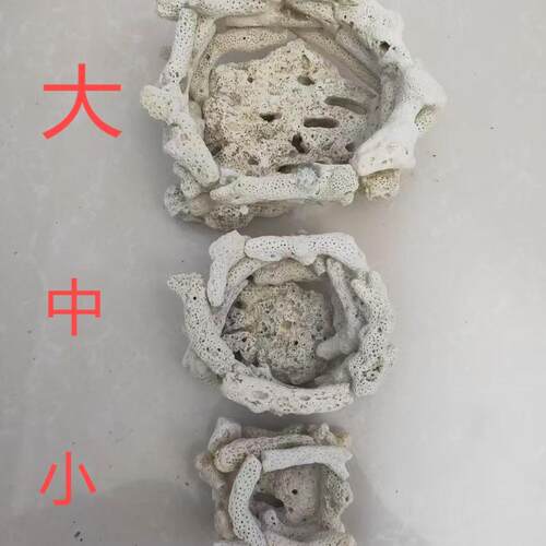 奶嘴海葵窝珊瑚窝手工固定防跑窝