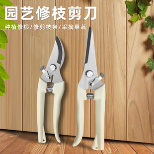 园艺剪修枝剪花剪园林剪刀花艺剪剪树枝果树剪刀枝剪修剪花卉剪子