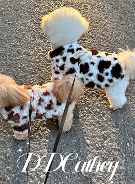 袋袋猫 美拉德奶牛毛绒 冬季宠物棉衣猫咪约克夏比熊保暖牵引衣服