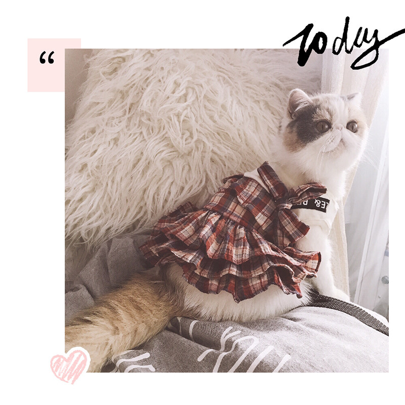 袋袋猫 ins宠物蛋糕裙 宠物春夏服装 猫可爱格纹连衣裙|ruв категории животное/Животное питание и принадлежностей, одежды и аксессуаров для домашних животных, домашний костюм/плащ - от Buy2taobao.com для оказания профессиональной услуги покупки агента Taobao