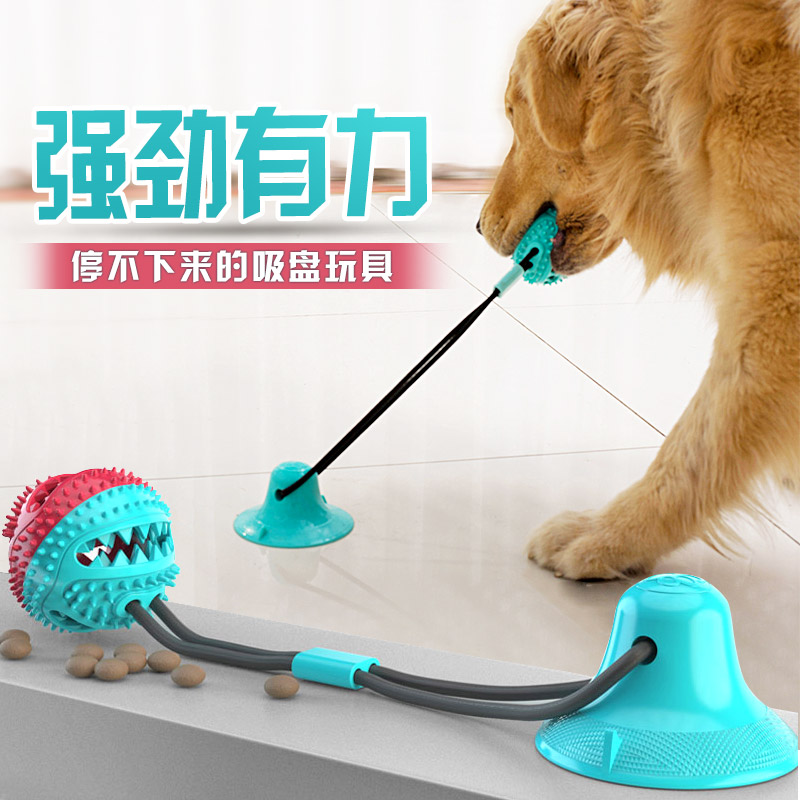 狗狗玩具耐咬幼犬球柯基宠物用品